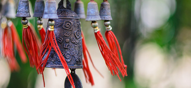 ciclo delle 5 trasformazioni