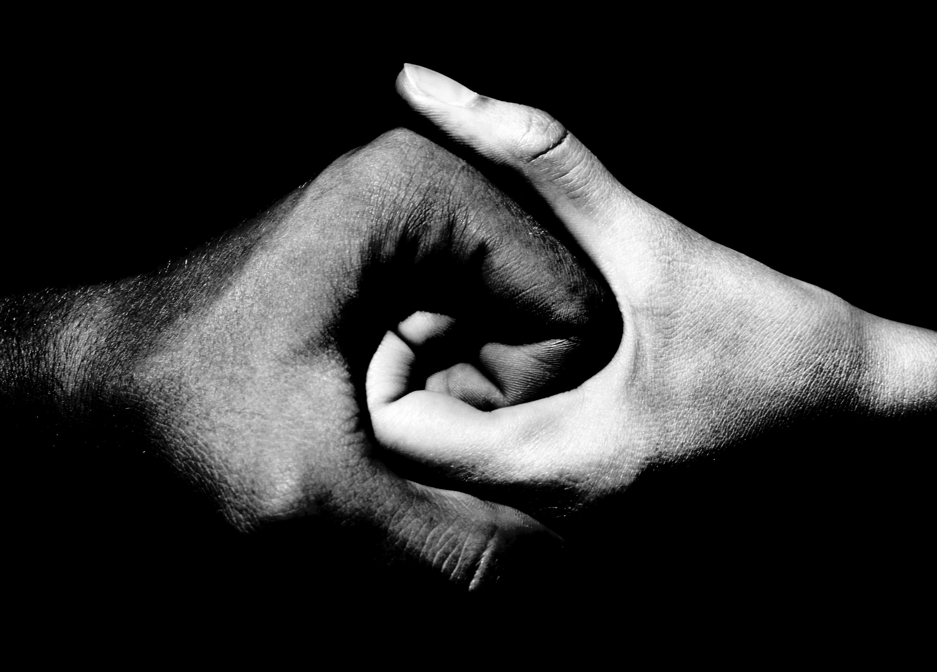 yin e yang Yin e yang