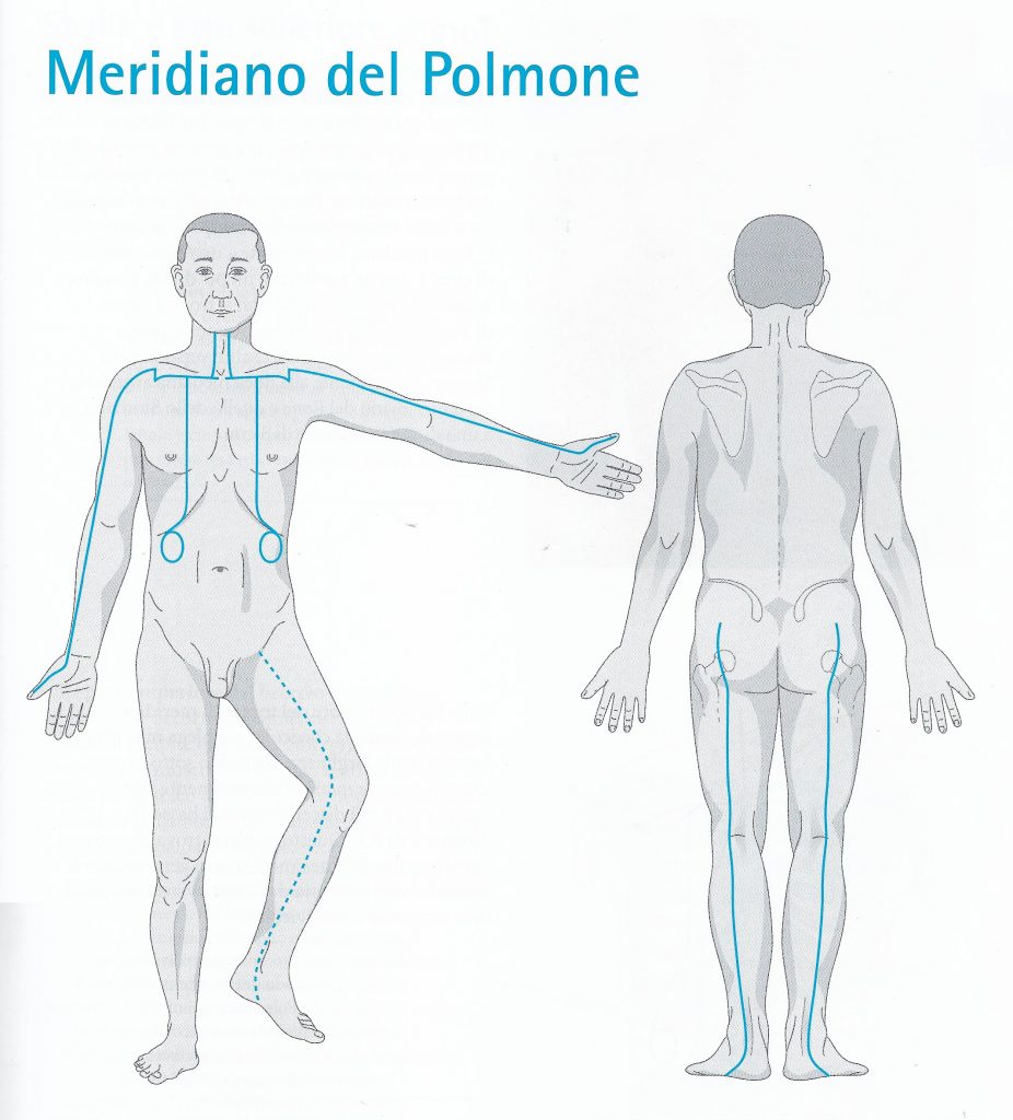 Percorso del meridiano di Polmone Meridiano dei polmoni - percorso