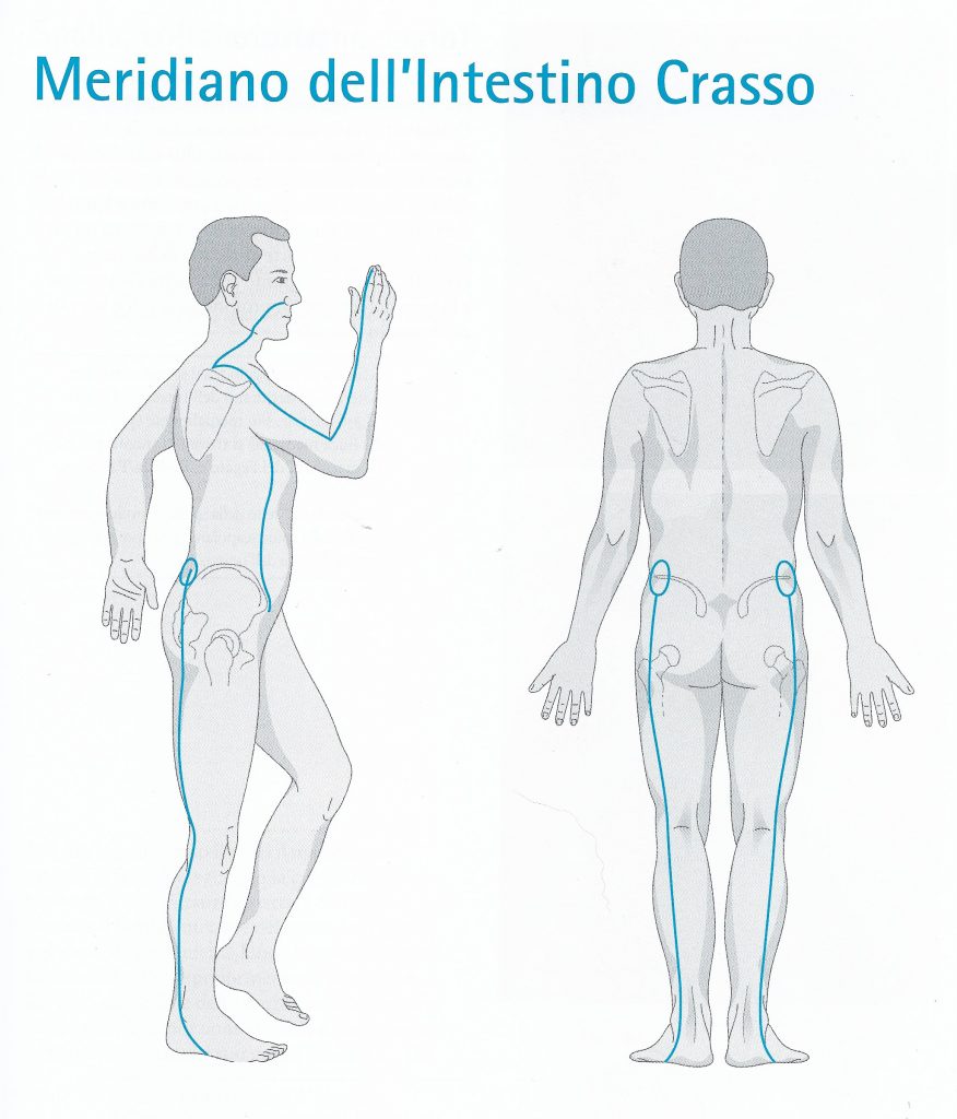 Meridiano di intestino crasso Meridiano di intestino crasso