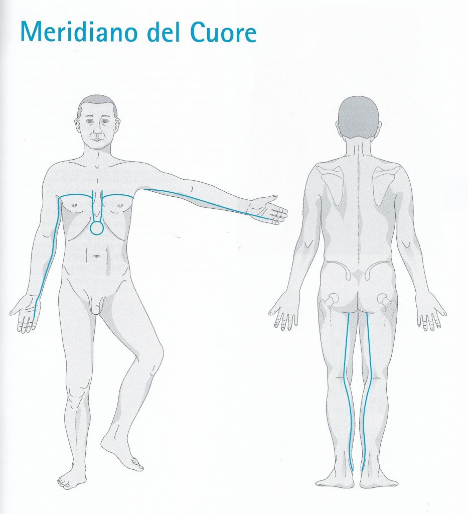 Percorso del meridiano di cuore Meridiano del cuore - percorso