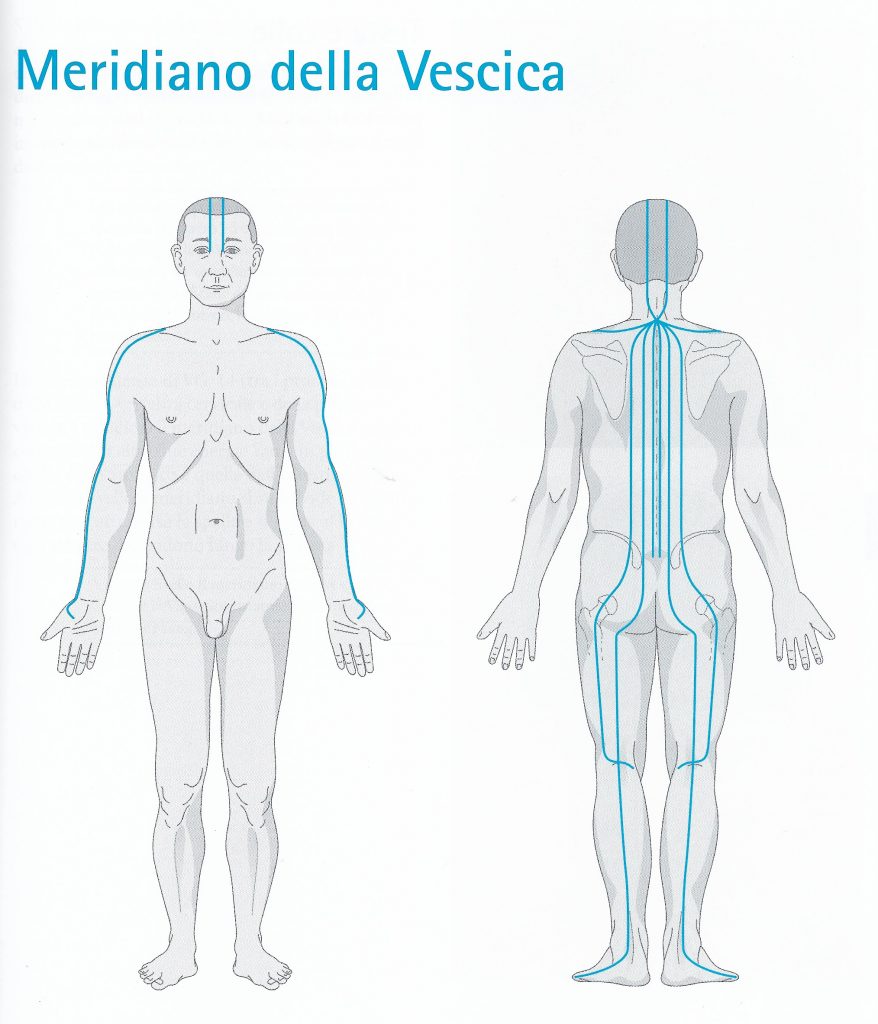 Percorso del meridiano della vescica urinaria Meridiano della vescica urinaria - percorso