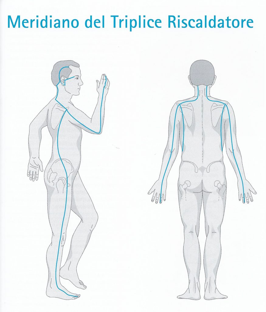 Percorso del meridiano del triplice riscaldatore Meridiano del triplice riscaldatore - percorso