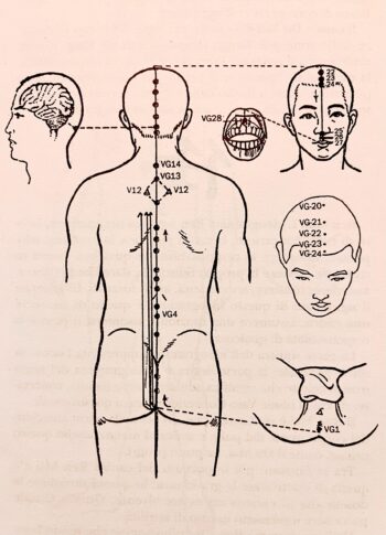 Du Mai Vaso Governatore